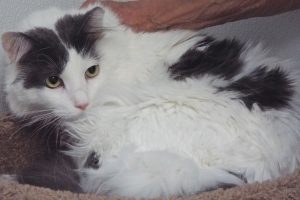 Picture of Jessica
