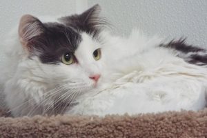 Picture of Jessica