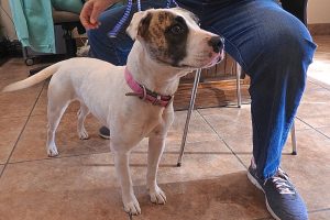 Picture of Lucy