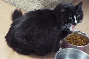 Picture of Olivia
