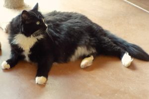 Picture of Olivia