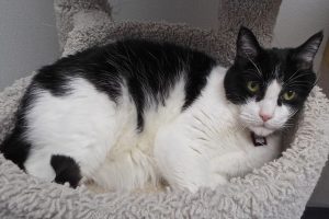 Picture of Billy Bob