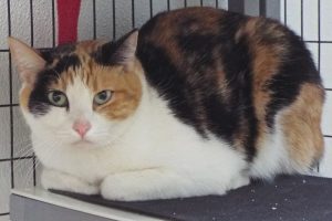 Picture of Carley