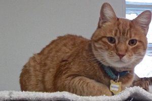 Picture of George