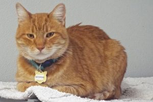 Picture of George