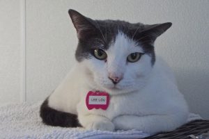 Picture of Lee Lou
