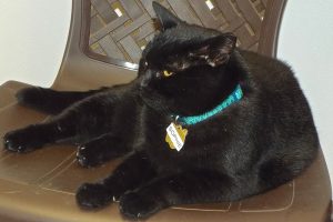 Picture of Sophie