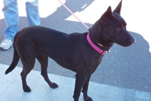 Picture of Zara