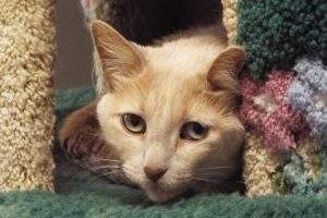 Picture of Baby