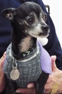 Picture of Chloe