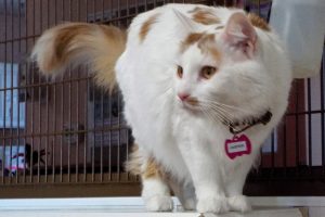 Picture of Jasper