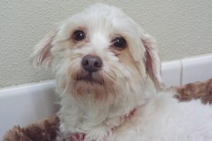 Picture of Leila