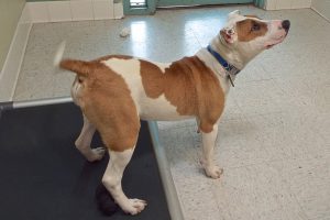 Picture of Sonny B (CGC)