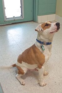 Picture of Sonny B (CGC)