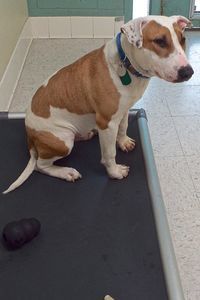 Picture of Sonny B (CGC)