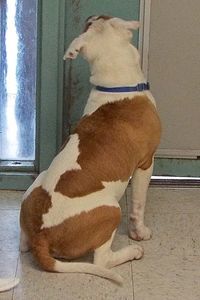 Picture of Sonny B (CGC)