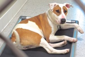 Picture of Sonny B (CGC)