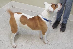 Picture of Sonny B (CGC)