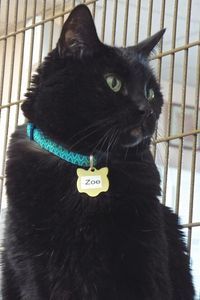 Picture of Zoe