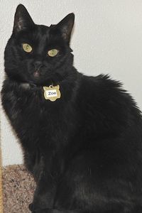 Picture of Zoe