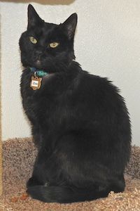 Picture of Zoe