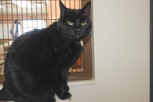 Picture of Zoe