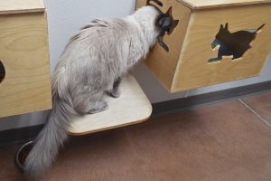 Picture of Boots