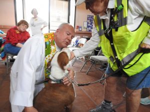 Picture of Blessing of the Animals 2019