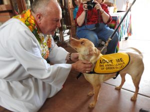 Picture of Blessing of the Animals 2019