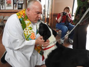 Picture of Blessing of the Animals 2019