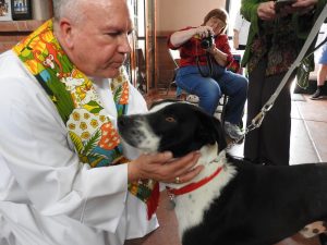 Picture of Blessing of the Animals 2019