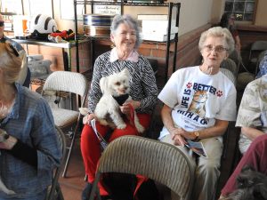 Picture of Blessing of the Animals 2019