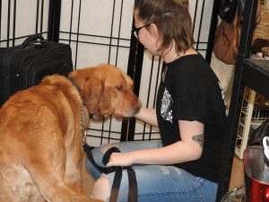 Picture of Blessing of the Animals 2019