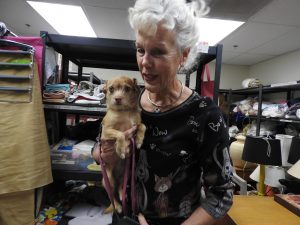 Picture of Blessing of the Animals 2019