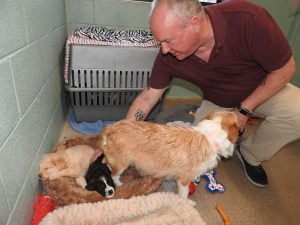 Picture of Blessing of the Animals 2019