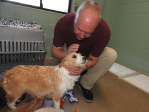 Picture of Blessing of the Animals 2019