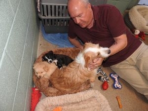 Picture of Blessing of the Animals 2019