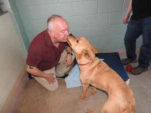 Picture of Blessing of the Animals 2019