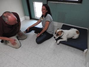 Picture of Blessing of the Animals 2019