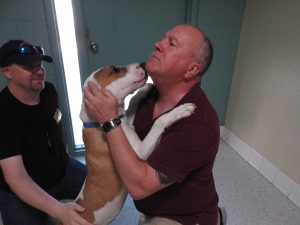 Picture of Blessing of the Animals 2019