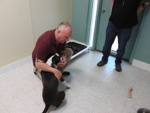 Picture of Blessing of the Animals 2019