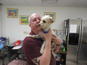 Picture of Blessing of the Animals 2019