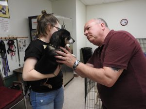 Picture of Blessing of the Animals 2019