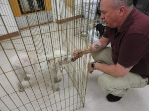 Picture of Blessing of the Animals 2019