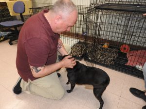 Picture of Blessing of the Animals 2019