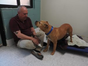 Picture of Blessing of the Animals 2019