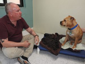 Picture of Blessing of the Animals 2019
