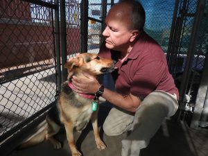 Picture of Blessing of the Animals 2019