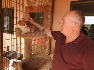 Picture of Blessing of the Animals 2019