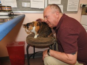 Picture of Blessing of the Animals 2019